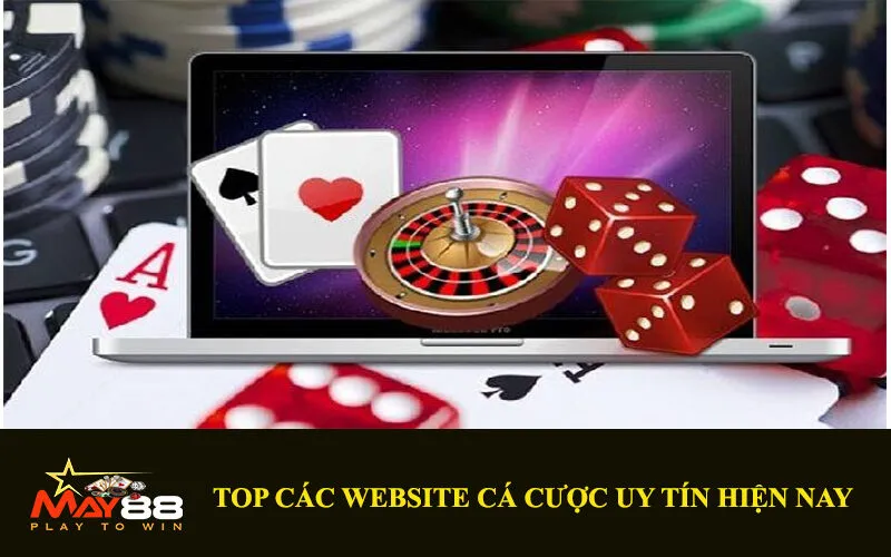 Top Các Website Cá Cược Uy Tín Hiện Nay